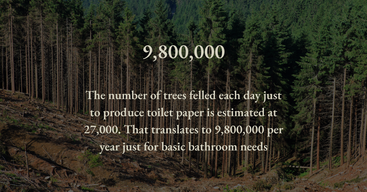 Premium Bamboo Toxic-Free Toilet Paper 60 Pack